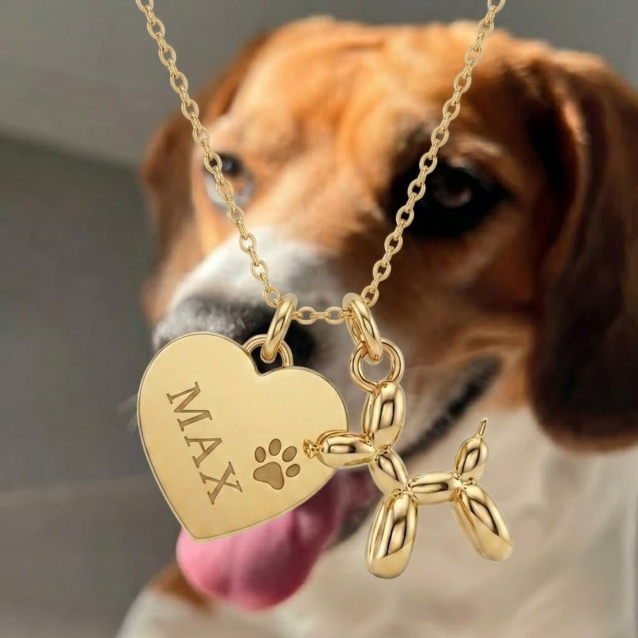 Collar Mi Mejor Amigo