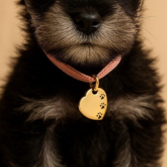 Collar Personalizado LOVE PET